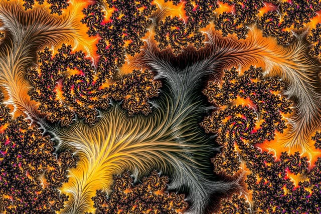 Feather fractal